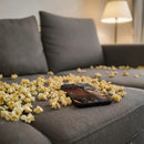 Case Aura de Pandora